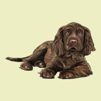 Sussex Spaniels Llustrations Urban Hoodie | Teevron