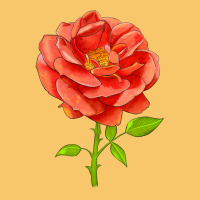 All A Twitter Rose Vintage Hoodie | Teevron