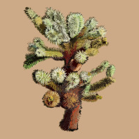 Cholla Tree Cactus Vintage Hoodie | Teevron
