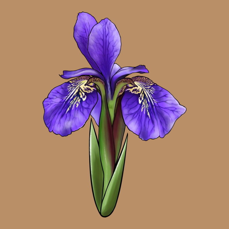 Iris Flower Vintage Hoodie by LillyAllenDesigns | Teevron