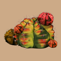 Gymnocalycium Variegated Cactus Vintage Hoodie | Teevron