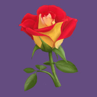 Ketchup And Mustard Rose Vintage Hoodie | Teevron