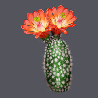 King Cup Cactus Vintage Hoodie | Teevron