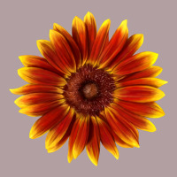 Little Becka Sunflower Vintage Hoodie | Teevron