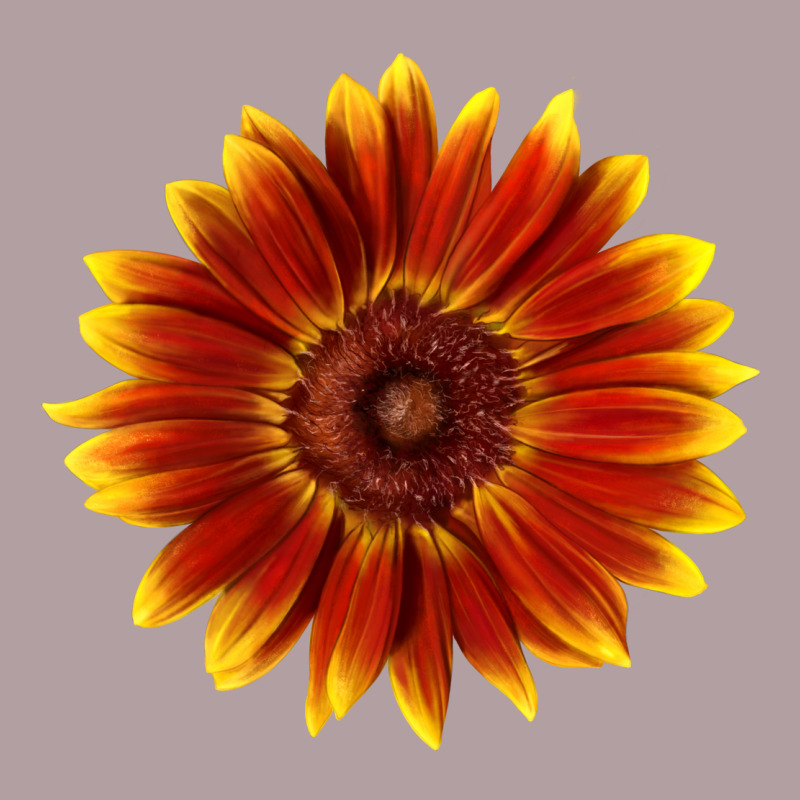Little Becka Sunflower Vintage Hoodie by LillyAllenDesigns | Teevron
