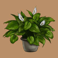 Peace Lily Vintage Hoodie | Teevron