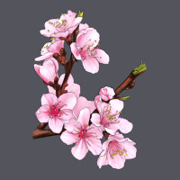 Peach Blossom Illustrations Vintage Hoodie | Teevron