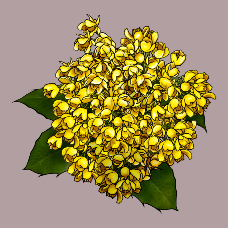 Oregon Grape Flower Illustrations Vintage Hoodie by LillyAllenDesigns | Teevron