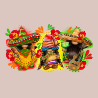 Cinco De Mayo Gnomies Premium Hoodie | Teevron