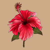 Puerto Rican Hibiscus Flower Vintage Hoodie | Teevron