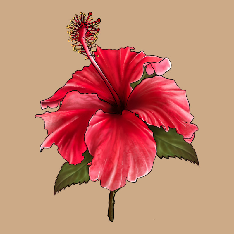 Puerto Rican Hibiscus Flower Vintage Hoodie by LillyAllenDesigns | Teevron