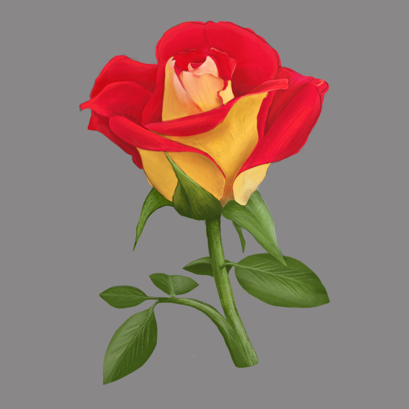Ketchup And Mustard Rose Vintage Tee by LillyAllenDesigns | Teevron