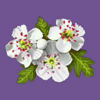 Hawthorn Flower Vintage Tee | Teevron