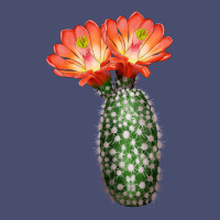 King Cup Cactus Vintage Tee | Teevron
