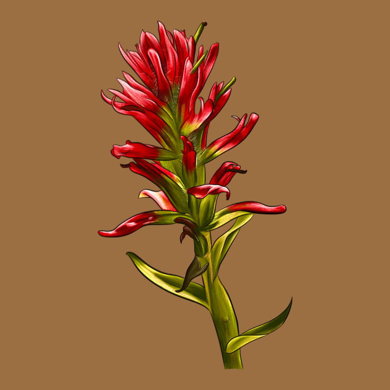 Indian Paintbrush Vintage Tee by LillyAllenDesigns | Teevron