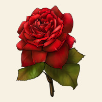 Oklahoma Rose Illustrations Vintage Tee | Teevron