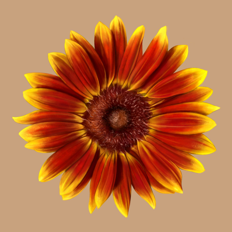 Little Becka Sunflower Vintage Tee by LillyAllenDesigns | Teevron