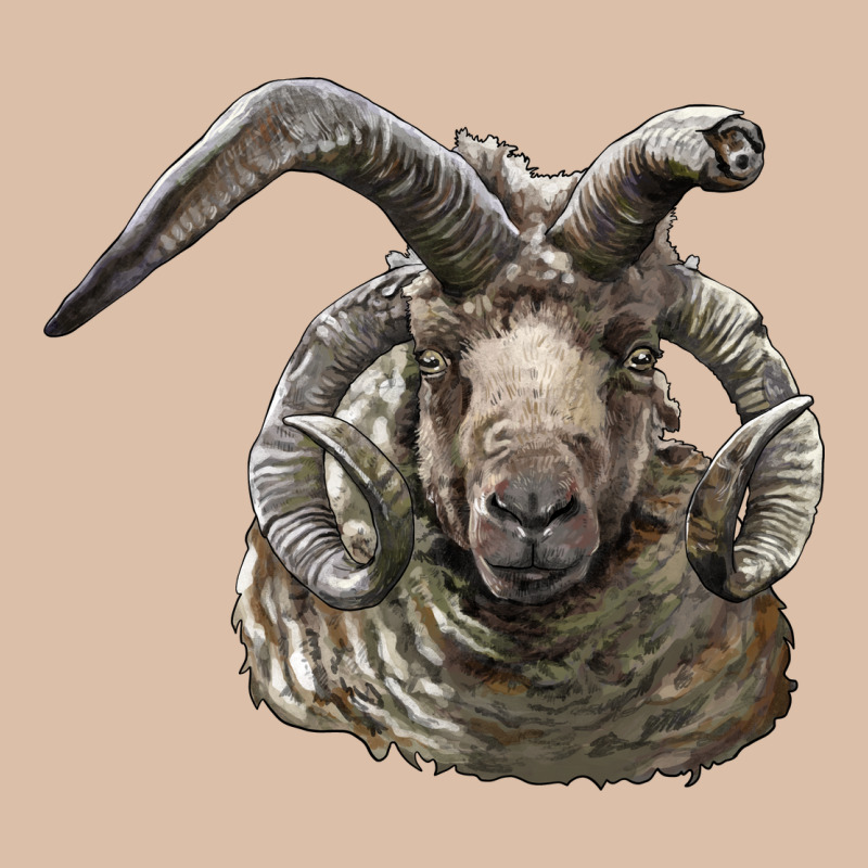 Navajo Churro Sheep Head Urban Heavy Tee by LillyAllenDesigns | Teevron