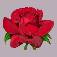 Oklahoma Rose Illustrations Vintage Tee | Teevron