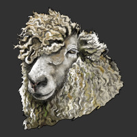 Lincoln Sheep Head Urban Heavy Tee | Teevron