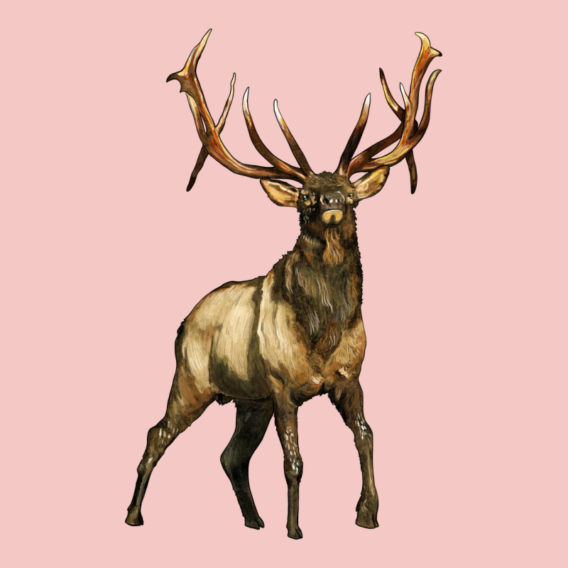 Elk Deer Urban Heavy Tee by LillyAllenDesigns | Teevron
