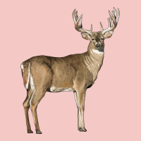 White Tailed Buck Deer Urban Heavy Tee | Teevron