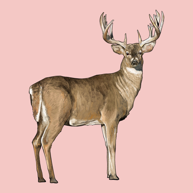 White Tailed Buck Deer Urban Heavy Tee by LillyAllenDesigns | Teevron