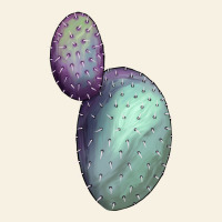 Opunthia Santa Rita Cactus Vintage Tee | Teevron