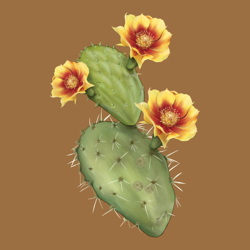 Opuntia Phaeacantha Cactus Vintage Tee by LillyAllenDesigns | Teevron