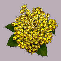 Oregon Grape Flower Illustrations Vintage Tee | Teevron