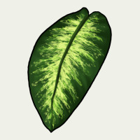 Dumb Cane Leaf Urban Heavy Tee | Teevron