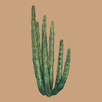 Organ Pipe Cactus Vintage Tee | Teevron
