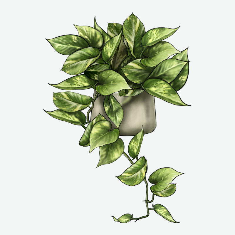 Golden Pothos Urban Heavy Tee by LillyAllenDesigns | Teevron