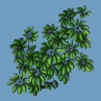 Botanical Schefflera Illustrations Urban Heavy Tee | Teevron