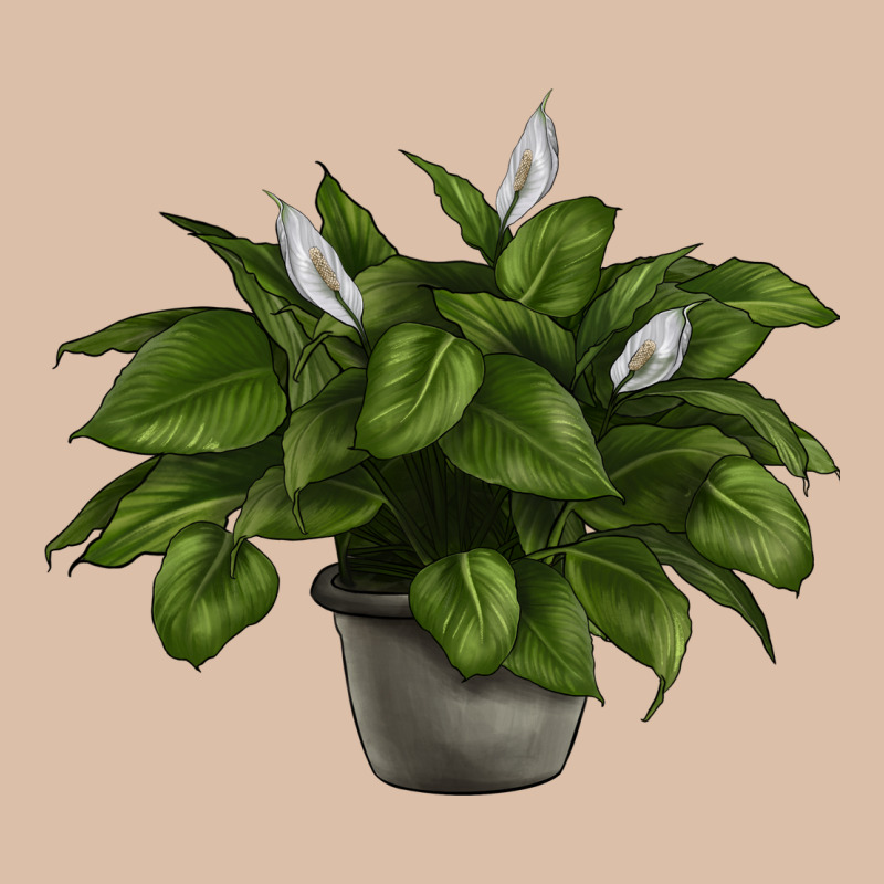 Peace Lily Urban Heavy Tee by LillyAllenDesigns | Teevron