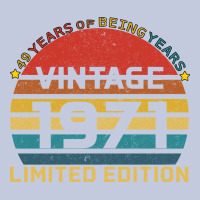 Vintage 1971 Limited Long Sleeve Tee | Teevron