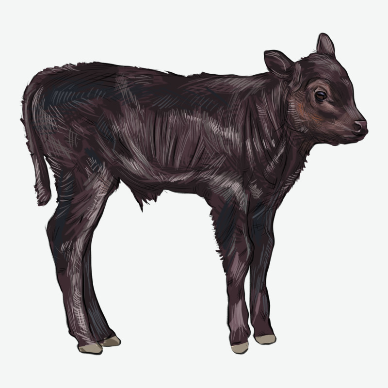 Black Angus Calf Illustrations Urban Heavy Tee by LillyAllenDesigns | Teevron