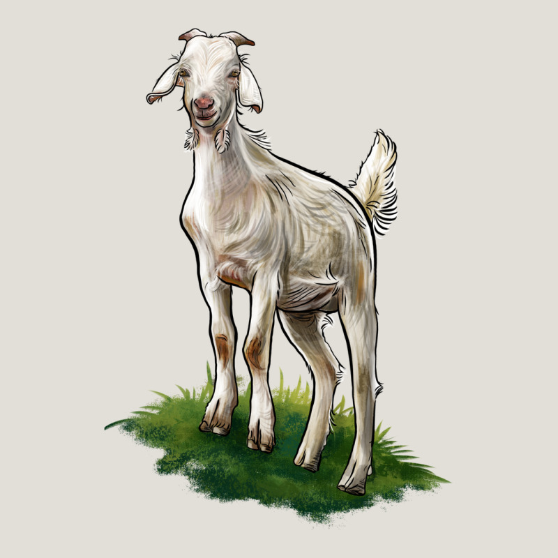 Kiko Goat Heavy Core Tee by LillyAllenDesigns | Teevron