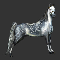 Tennessee Walking Horse | Teevron