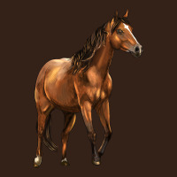 Quarter Horse Heavy Core Tee | Teevron