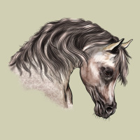 Arabian Horse Heavy Core Tee | Teevron
