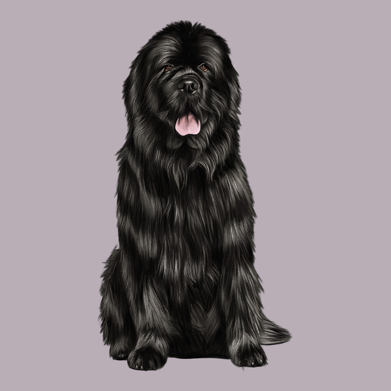 Newfoundland Dog Vintage Tee by LillyAllenDesigns | Teevron