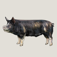 Berkshire Pig Heavy Core Tee | Teevron