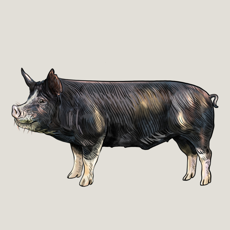 Berkshire Pig Heavy Core Tee by LillyAllenDesigns | Teevron