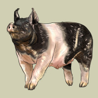 Hampshire Pig Heavy Core Tee | Teevron