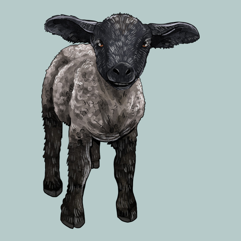 Suffolk Baby Sheep Heavy Core Tee by LillyAllenDesigns | Teevron