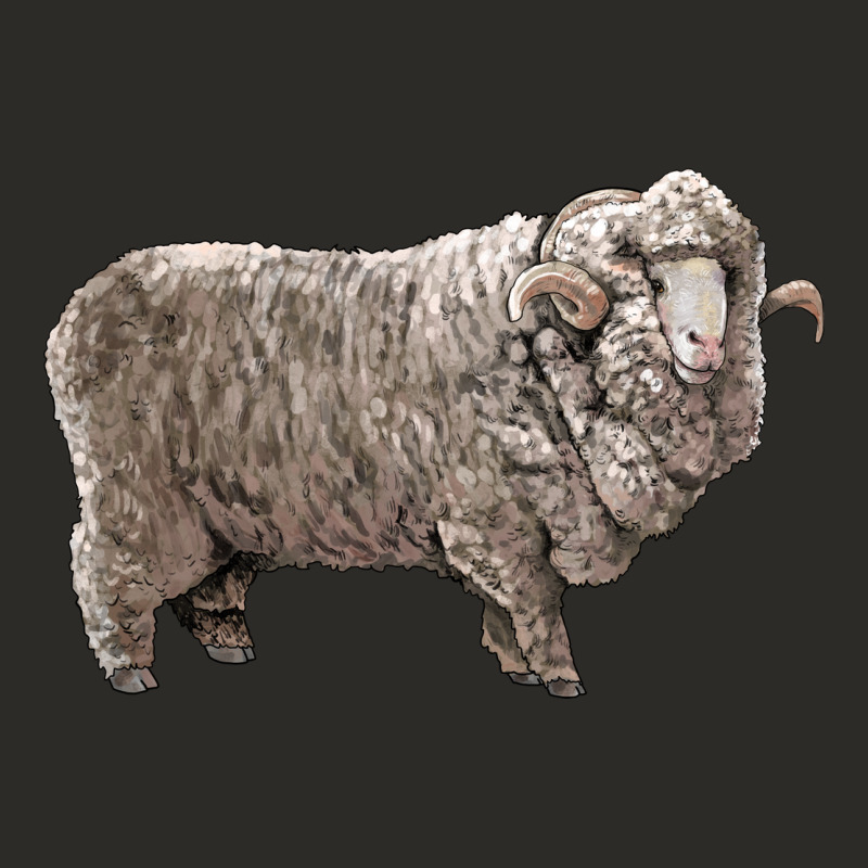 Rambouillet Sheep Heavy Core Tee by LillyAllenDesigns | Teevron