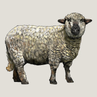 Hampshire Sheep Heavy Core Tee | Teevron