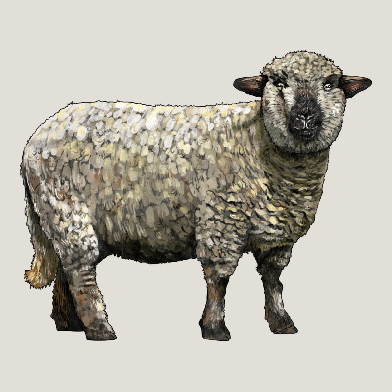 Hampshire Sheep Heavy Core Tee by LillyAllenDesigns | Teevron