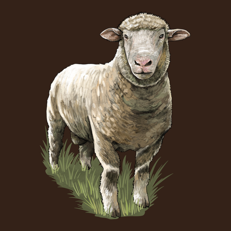 Dorset Sheep Heavy Core Tee by LillyAllenDesigns | Teevron